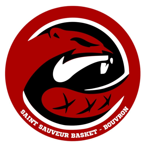 Logo Saint Sauveur Basket Bouvron